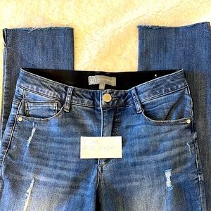 Tommy control Wit & Wisdom